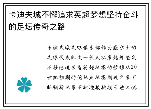 卡迪夫城不懈追求英超梦想坚持奋斗的足坛传奇之路