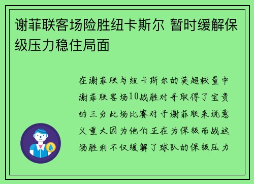 谢菲联客场险胜纽卡斯尔 暂时缓解保级压力稳住局面